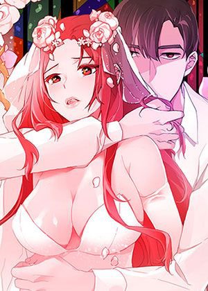 间谍过家家 - 临时家庭的搞笑日常